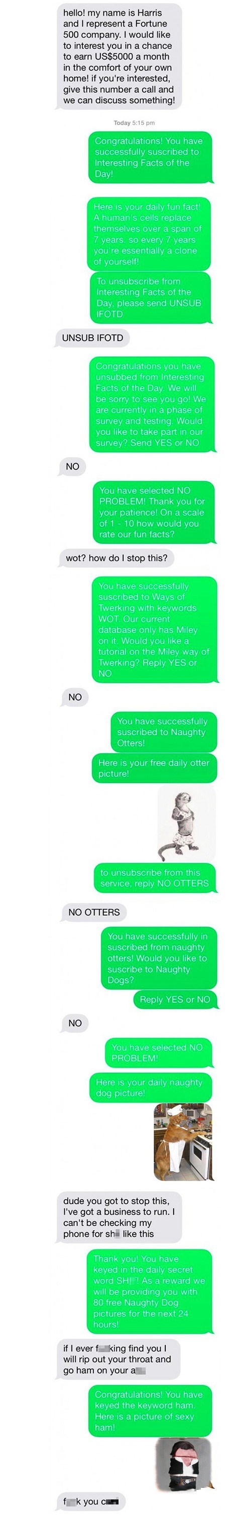 scammerpayback
